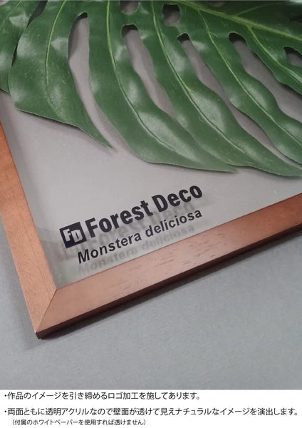 インテリアグリーンアート/ForestDecoL Monstera Deliciosa2